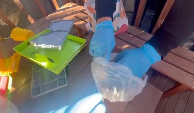 Organize suç örgütlerine yönelik 12 ilde operasyon