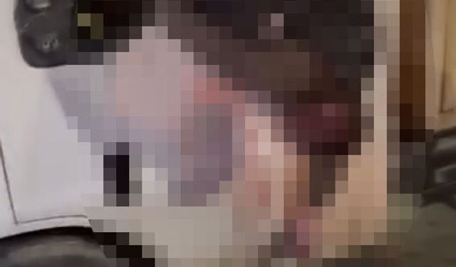 Adana'da kamyonet ile otomobil çarpıştı