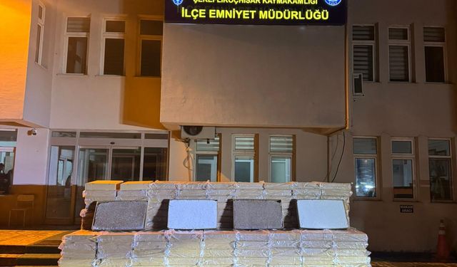 Ankara’da 1,8 Milyon Dolu Makaron Ele Geçirildi