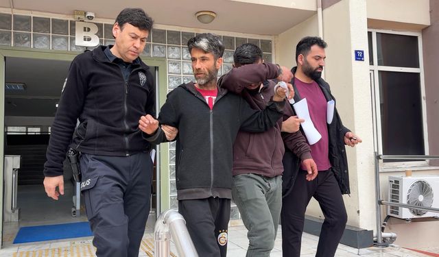 Aydın'da buzağı hırsızlığı