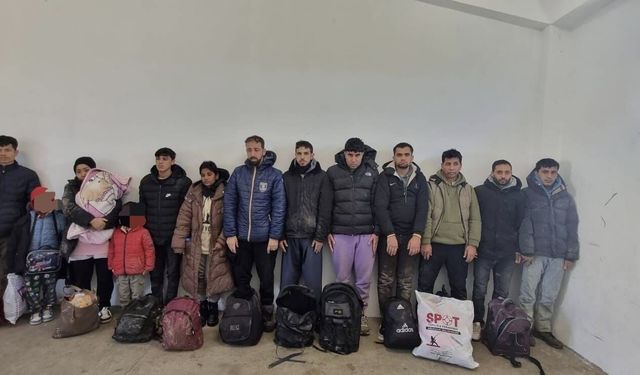 Edirne'de kaçak göçmenler yakalandı