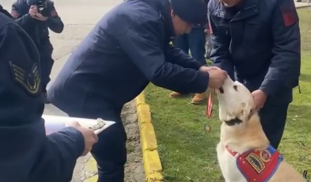 Jandarmanın Köpeği 'Medyum' Törenle Emekli Oldu