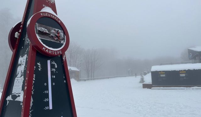 Kocaeli'ne kar yağdı