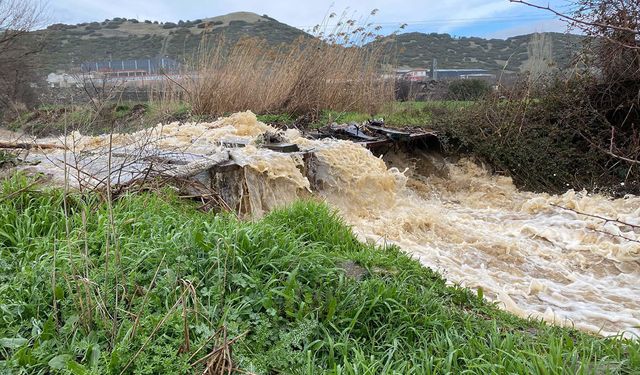 Manisa'da sağanak yağış etkisi: Dereler taştı, tarım arazileri su altında kaldı