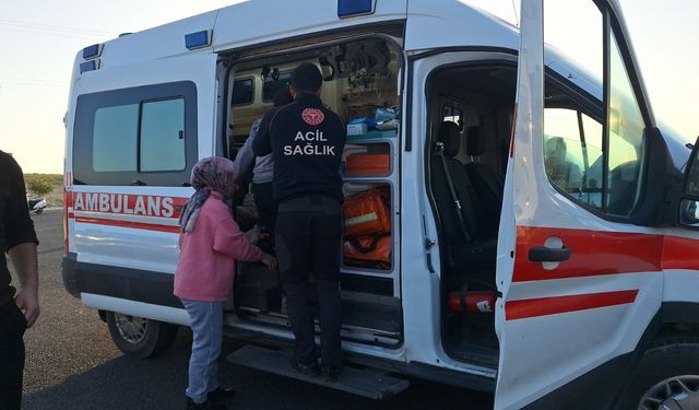 Tarım işçilerini taşıyan minibüs direğe çarptı: 15 yaralı