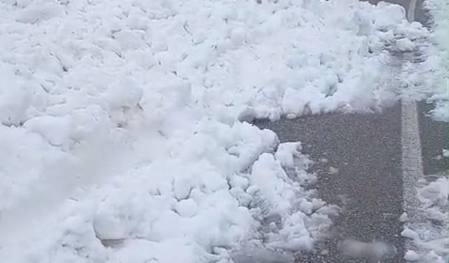 Van'da çığ düştü