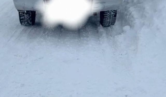 Van'da yasa dışı avcılık denetimi