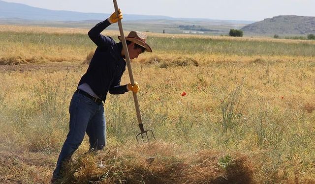 Esnaf ve Çiftçiye Geri Ödemesiz Kredi: 2026 Hibe Başvurusu