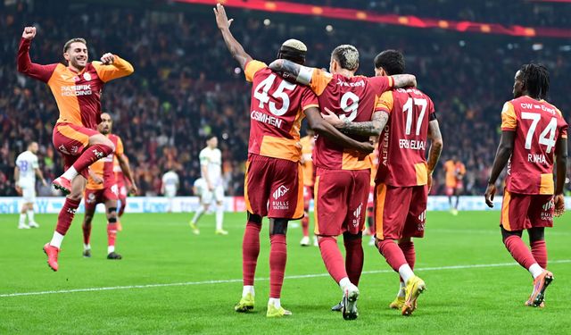 Aslan 13 Yıl Sonra Zebra Avında