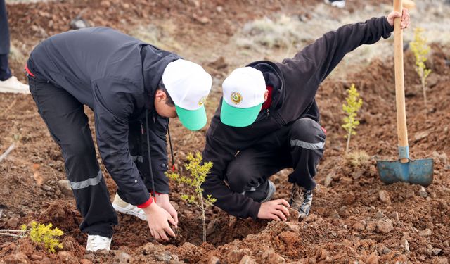 Konya'da 10 bin fidan dikildi