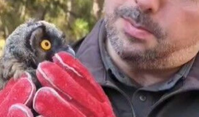 58 bini aşkın yaban hayvanı tedavi edilip doğaya salındı