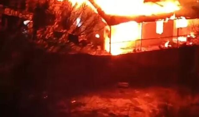 Adana'da Korkutan Yangın