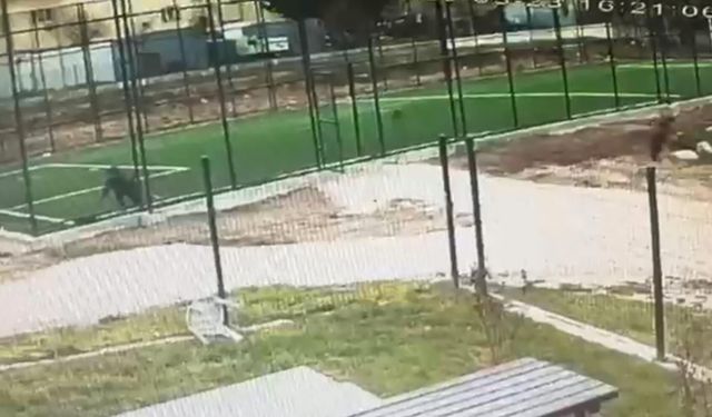 Arkadaşını pompalı tüfekle vurdu