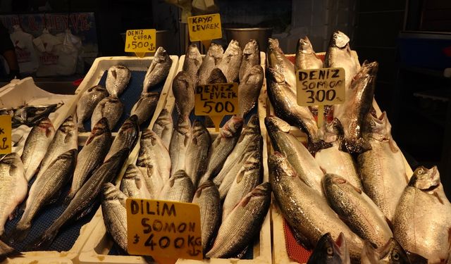 Av yasağı yaklaşıyor