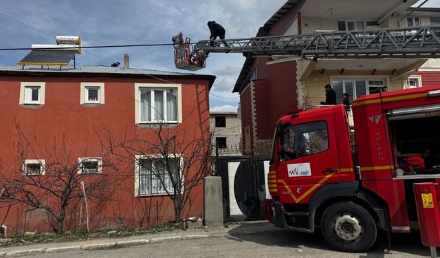 Çatıda mahsur kalan kediyi itfaiye kurtardı