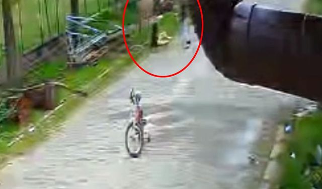 Evinin Önünde Oynayan Çocuğa Eşek Saldırdı