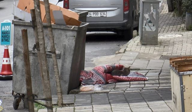 Eyüpsultan'da binanın 3'üncü katından düştü