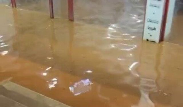 Hatay'da Çoban Kuzuları Selden Son Anda Kurtardı