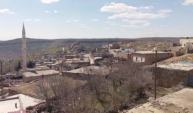 Mardin'de inekteki kuduz şüphesi üzerine mahalle karantinaya alındı