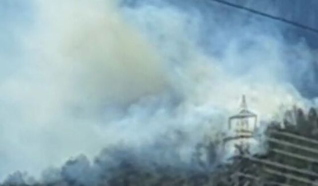 Sumbas'ta orman yangını