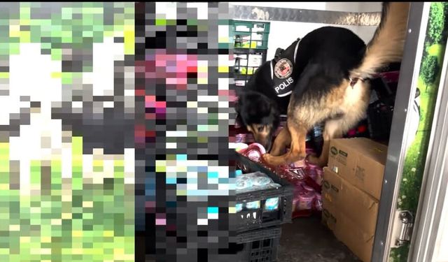 Van'da kamyonette uyuşturucu operasyonu