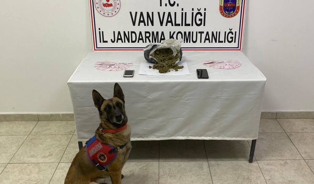 Van’da mezarlık yakınında 1 kilo skunk ele geçirildi