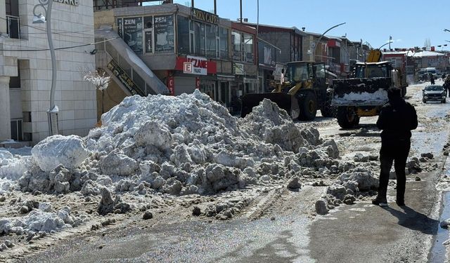 Van'da termometreler eksi 18'i gördü, hayat dondu