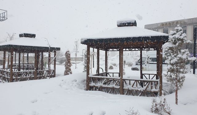 Van'da yerleşim yerleri kapandı