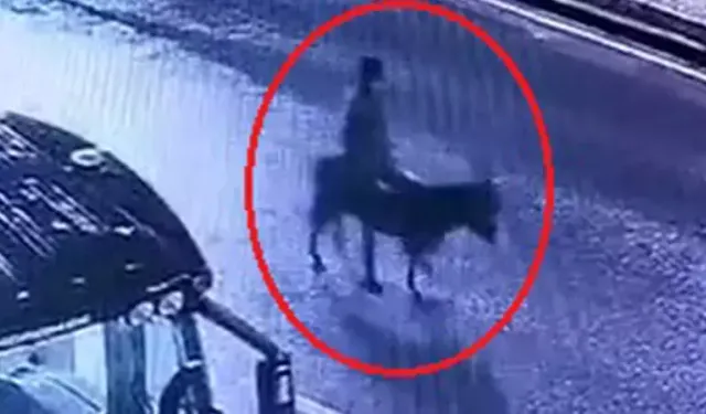 Kayseri’de ilginç soygun: Forkliftle kepenk kırdı, altınları eşekle taşıdı