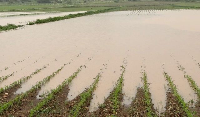 Bazı illerde etkili olan sağanak ve kar hayatı olumsuz etkiledi