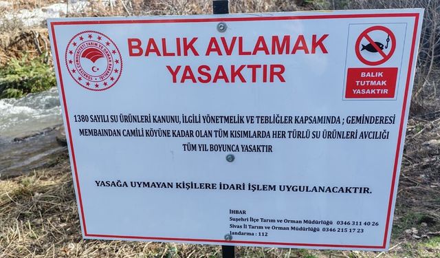 Geminbeli bölgesinde balık avı yasaklandı