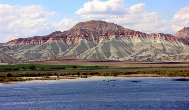 Nallıhan Kuş Cenneti göçle canlandı: 200 kuş türü bölgeye akın ediyor