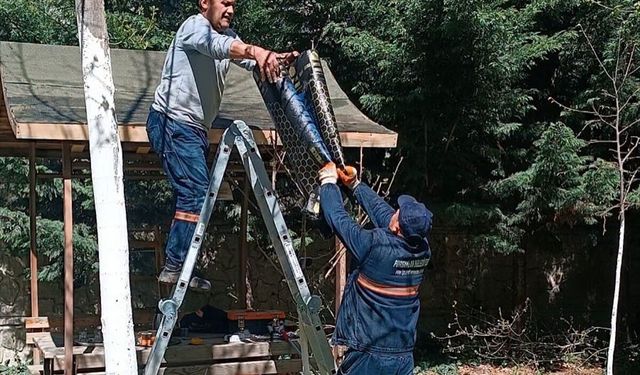 Pursaklar'da yeşil alanlarda bakım çalışması