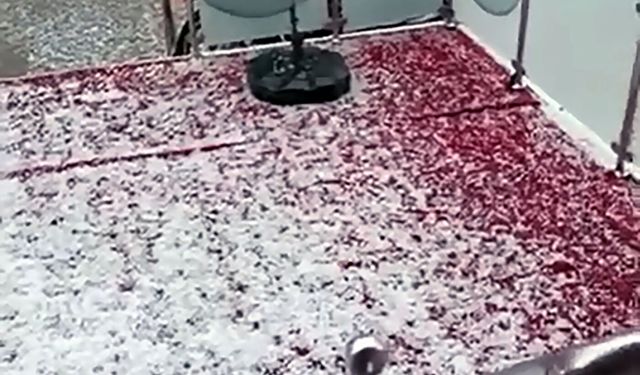 Adana sokakları beyaza büründü