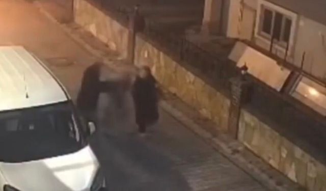 Adres sorma bahanesiyle kolye çaldı!