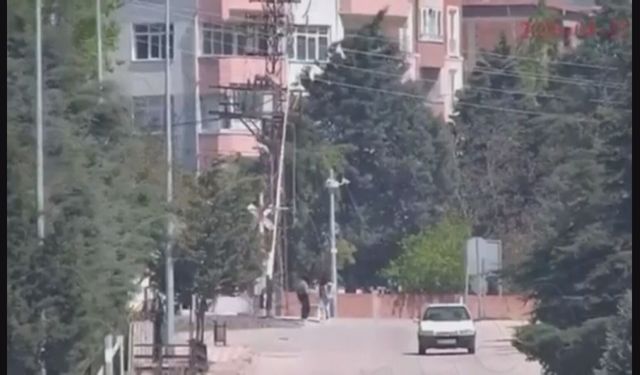 Amasya'da alkollü sürücü kaza yaptı!