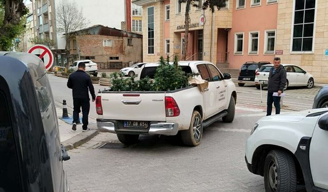 Apartman dairesinde uyuşturucu yetiştirenlere operasyon