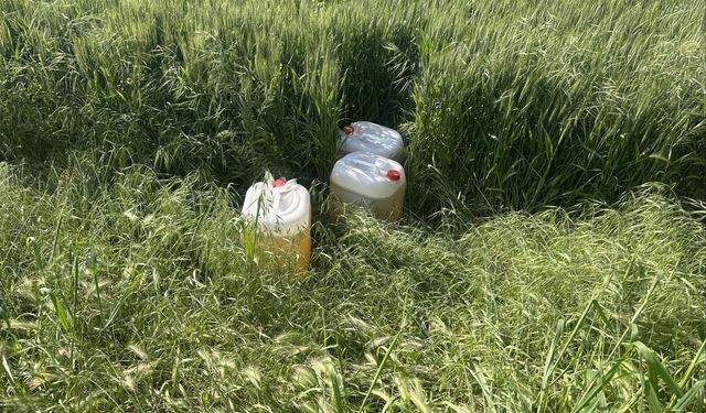 Aydın'da göçmen kaçakçılığı şüphelileri yakalandı