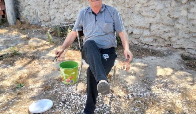 Eskişehir'de Günyüzü Kaymakamı kaza geçirdi
