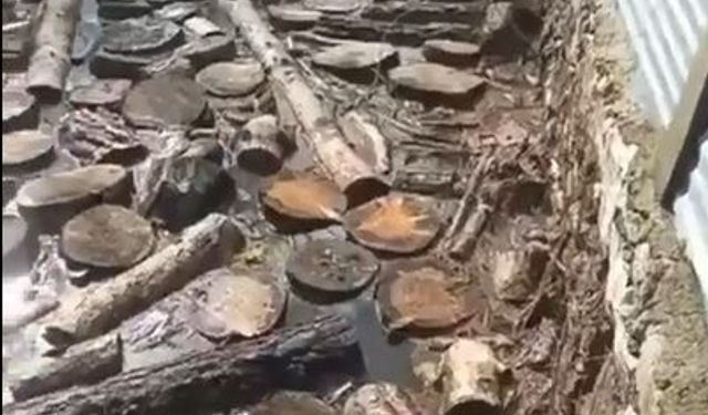 Sivas'ta derenin taştığı köyde ev ve ahırları su bastı