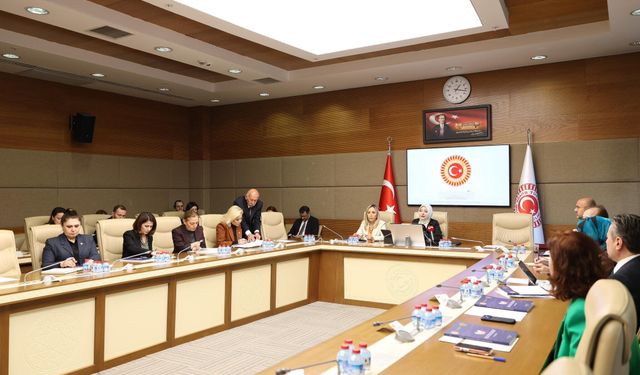 TBMM’de çarpıcı rapor: Kadın cinayetlerinde koruma kararı oranı alarm veriyor