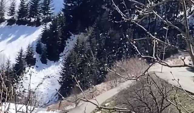 Trabzon'da çığ düştü