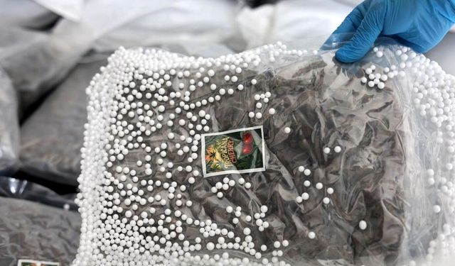 Türkiye ile Suriye'den 300 milyon değerinde uyuşturucu operasyonu