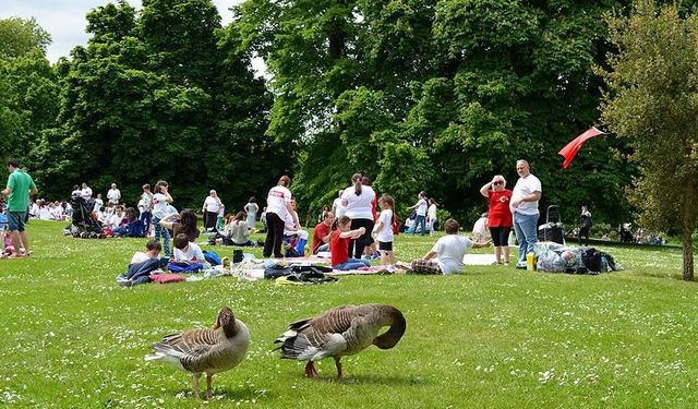 Ankara'da Nerede Piknik Yapılır? Ankara'nın 10 Piknik Yeri