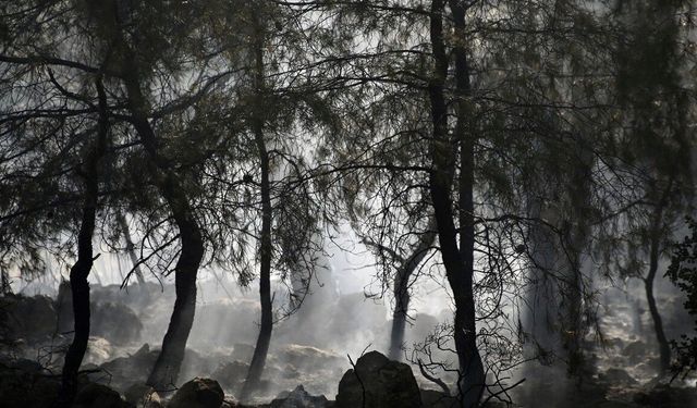 Fethiye'de ormanı alevler sardı!