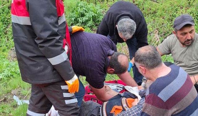 Sivas'ta mantar toplarken ayı saldırısına uğradı