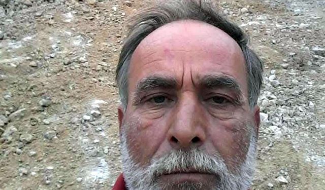 Arı sokması sonucu hayatını kaybetti