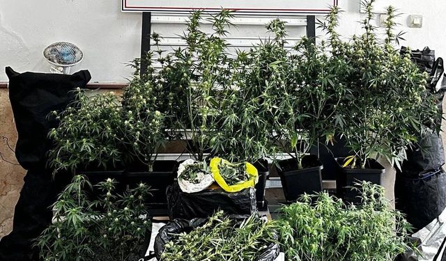 Bursa'da Uyuşturucu Operasyonu