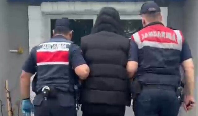 Evinde kenevir yetiştiren şüpheli yakalandı