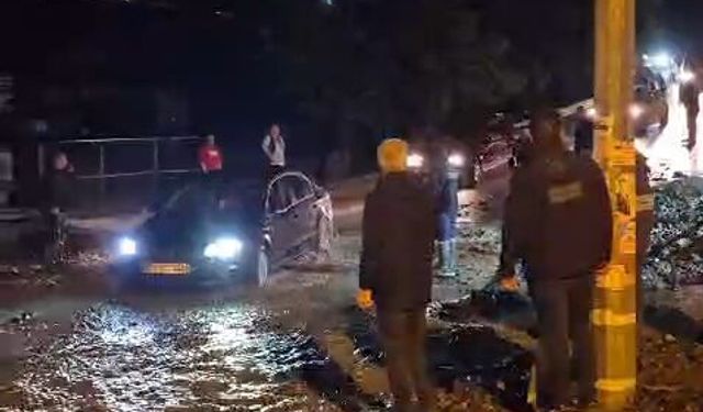 Hatay sağanak yağış altında: Hayvan pazarını su bastı